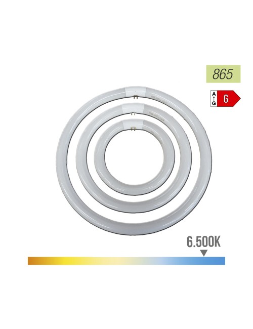 Tubo fluorescente circular 22w ø21cm trifosforo 6500k luz fria philips