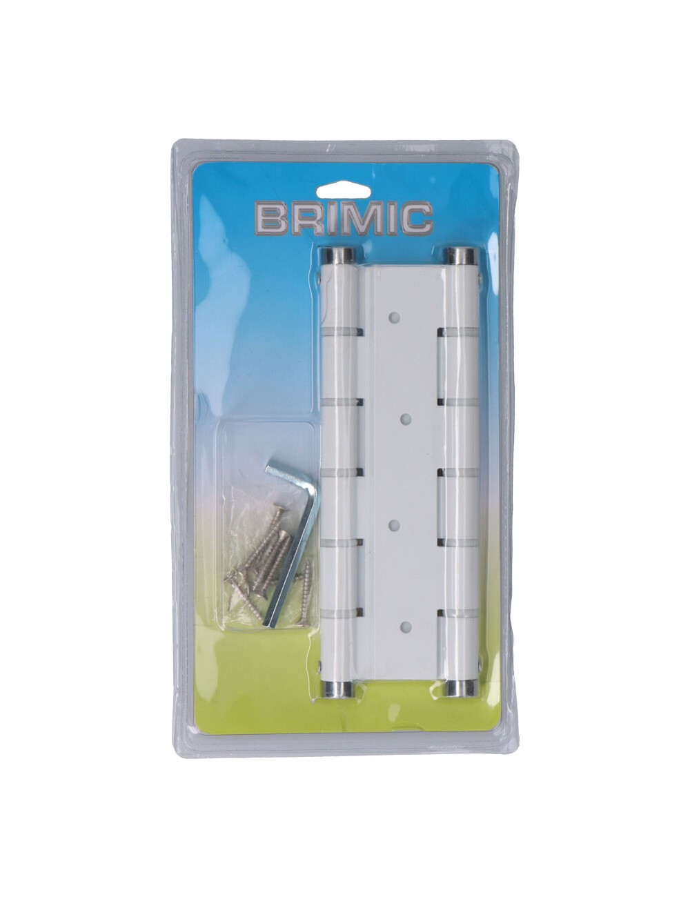 Blister bisagra doble accion bs10 bl m57001 brimic