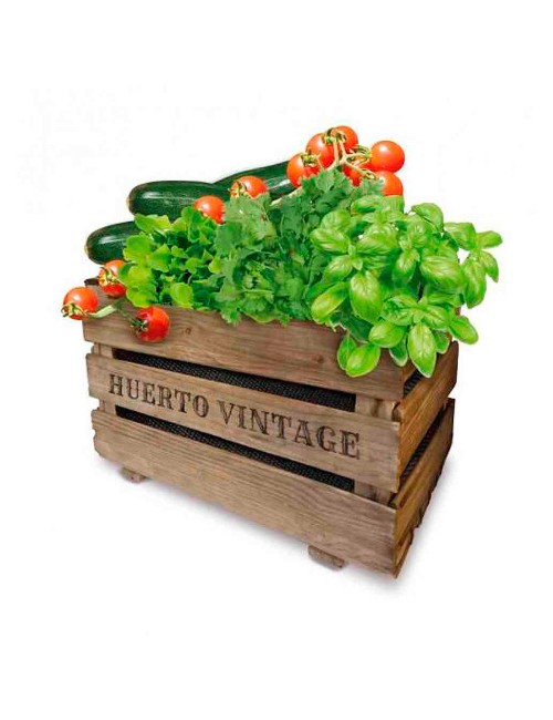 Caja huerto vintage eco agreen