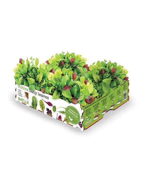 Caja de ensaladas baby leaves batlle