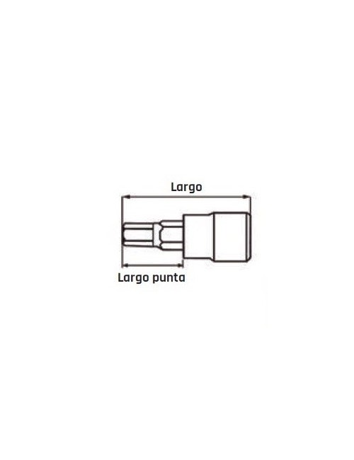 VASO 1\2" TORX CON PUNTA...